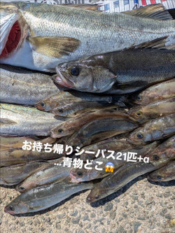 927eb2ff34b64822ab7d273462c6d6ce