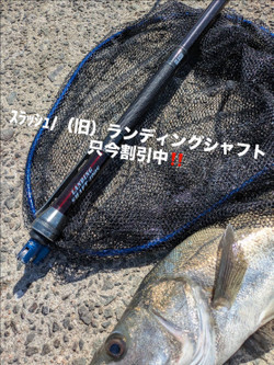 C65e70408db547309ec62f35c82c1c86