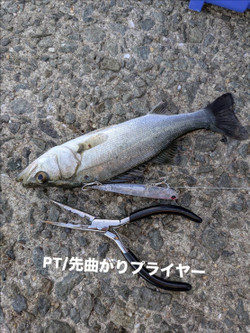 E78ff490832f4b89b5076126923cdc16