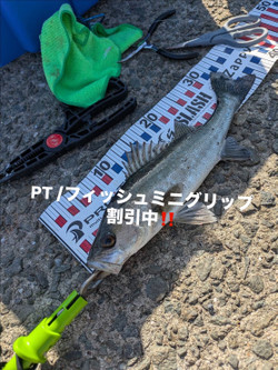 Ff88a4ac090343de8174f82c44642953