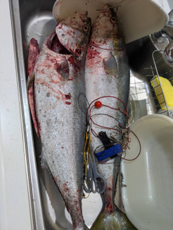 585868644962795623 585868644962795623