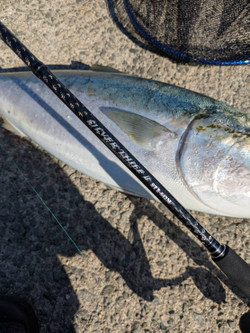 585868661790343492 585868661790343492