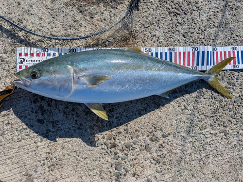 585868666403815800_3 585868666403815800_3