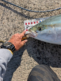 585868672091553827_2 585868672091553827_2