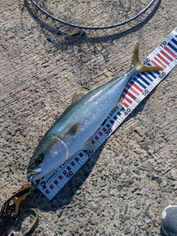 585868677577441742 585868677577441742