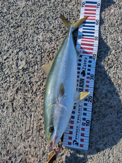 585868682963189982 585868682963189982