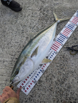 585868687811805644 585868687811805644