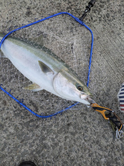 585868690378719590_2 585868690378719590_2