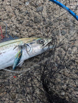 586597111647961549 586597111647961549