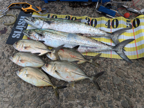 586597131495145867 586597131495145867