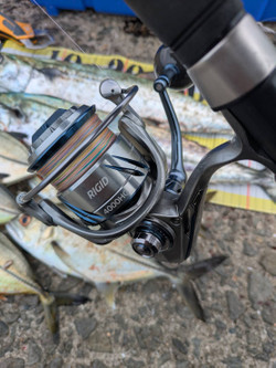 586597132921471385 586597132921471385