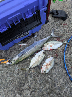 586597153943322999 586597153943322999