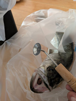 587320334127464844 587320334127464844