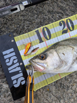 587320338254397952 587320338254397952