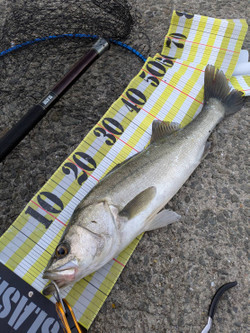 587320340771242003 587320340771242003