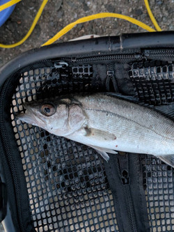 587320344814551554 587320344814551554