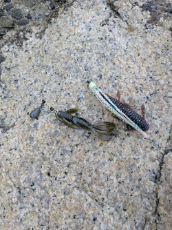 597460125754327296_2