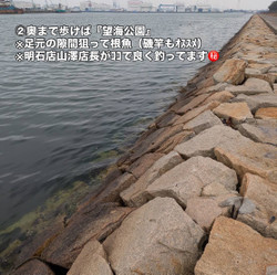 392310496ae64754a265a160445393e9