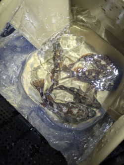 607471866135446066 607471866135446066