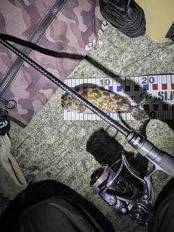 607471866654752793 607471866654752793