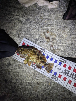 607471873684668608 607471873684668608