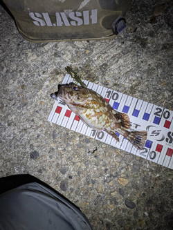 607471876553834532 607471876553834532