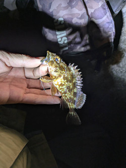 607471877577244913 607471877577244913