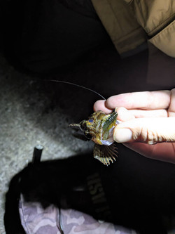 607471878667764073 607471878667764073