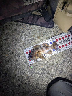 608338880344621177_1