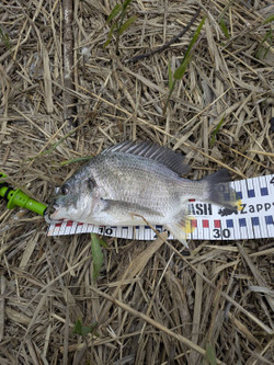 610922826857971832_2