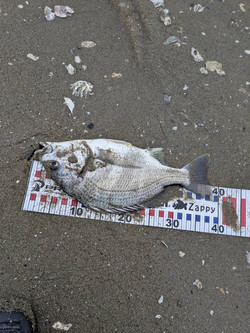 610922830733508762_2