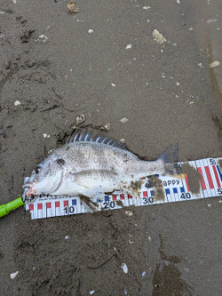 610922837343731713_2