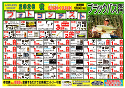 Photo_4