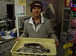 P5290329_medium_2