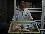 P6020337_medium_2