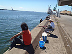 P9010038_medium