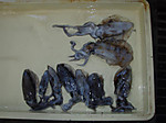 P9020412_medium