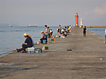 P9040040_medium