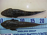 Img_0676_small