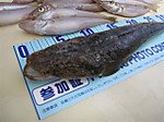 Img_0678_small