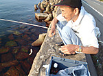 P9040043_medium