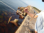 P9040046_medium_2