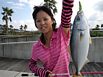 Pap_0027_small