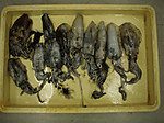 P9300437_medium