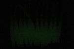 Dscf2155_small