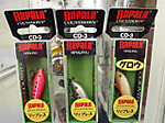 Pc110157_small