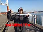 Pc120085_medium