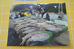 Dscf2204_small