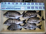 Img_0856_wince
