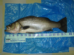 P1110186_small